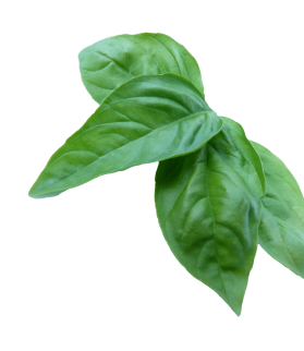 product08.png